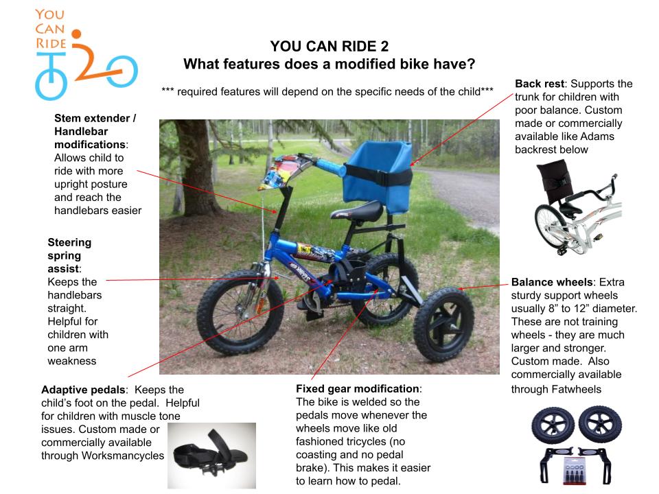 Adaptive bike trailer for special online needs